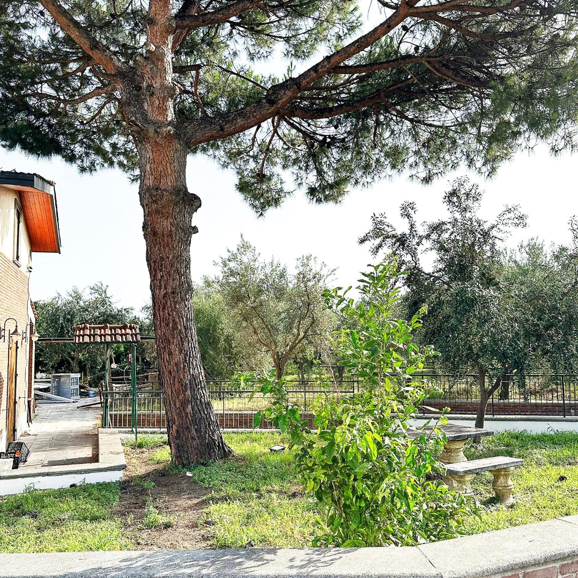 Tenuta Nunziata - Food, Event, Biofarm Torre Annunziata Eksteriør bilde